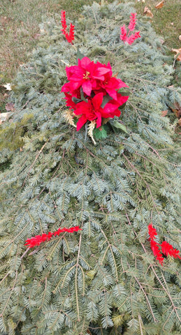 01 Blanket with Poinsettia Bouquet